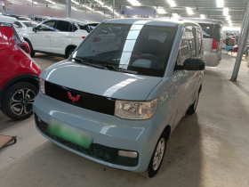 五菱汽车 宏光MINIEV 2020款 自在款 磷酸铁锂