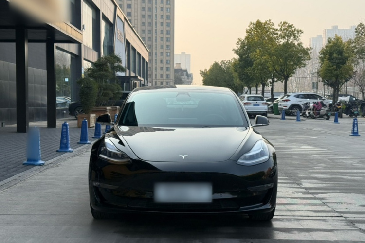 特斯拉 Model 3(进口) 2019款 长续航后驱版车身外观6004