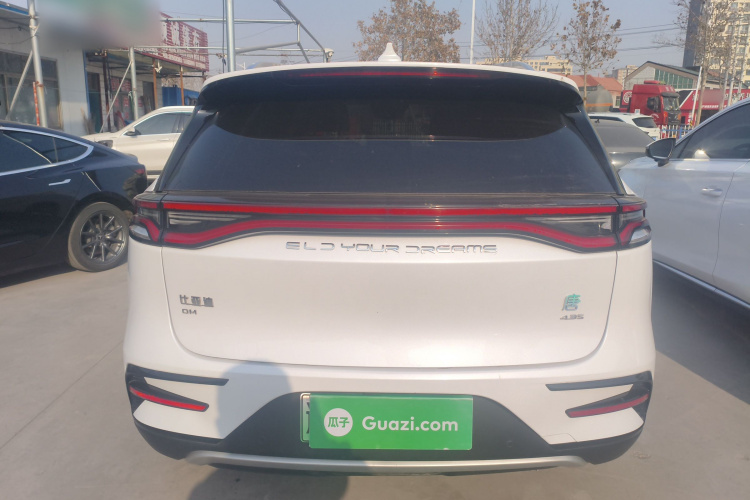 比亚迪 唐新能源 2021款 DM 2.0T 四驱高性能版创世旗舰型车身外观6