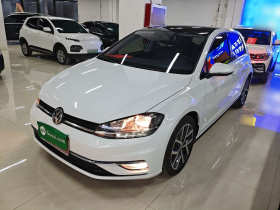 大众 高尔夫 2019款 280TSI DSG豪华型 国VI