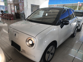 欧拉黑猫 2021款 301km 基础型