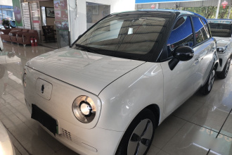 欧拉黑猫 2021款 301km 基础型