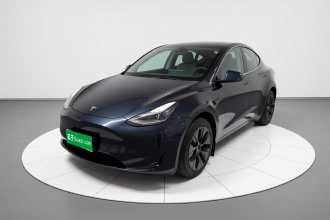 特斯拉 Model Y 2024款 后轮驱动版
