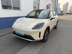 五菱汽车 缤果S 2025款 325km 尊享款