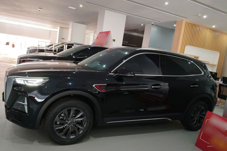 红旗HS5 2025款 2.0T 两驱旗享Pro版车身外观4