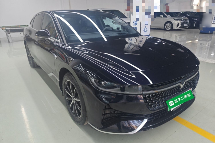 岚图汽车 岚图追光 2024款 PHEV 四驱超长续航行政版车身外观3