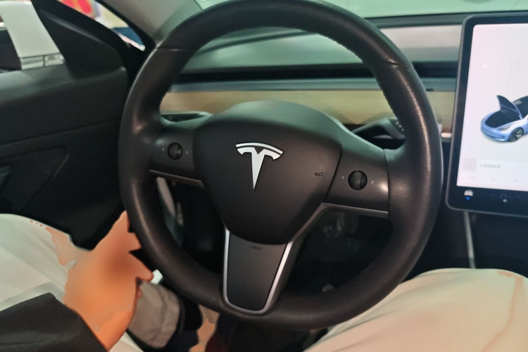特斯拉 Model 3 2019款 标准续航后驱升级版局部细节13