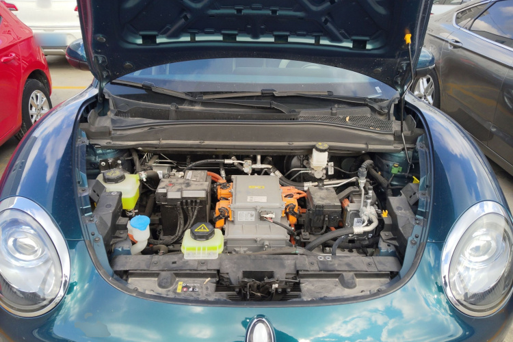 欧拉好猫 2023款 401km标准续航 豪华型 磷酸铁锂机舱底盘24