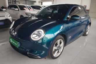 欧拉好猫 2023款 401km标准续航 豪华型 磷酸铁锂