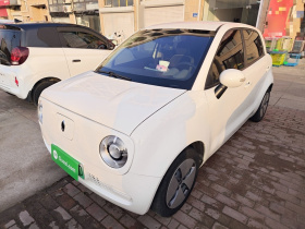 欧拉黑猫 2021款 301km 萌宠版