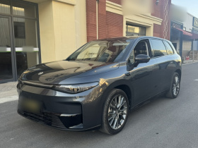 零跑汽车 零跑C10 2024款 530舒享版