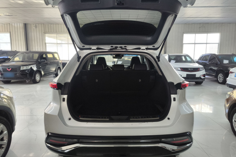 丰田 威飒 2023款 2.0L CVT两驱豪华版局部细节23