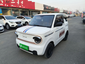 吉利银河 2024款 熊猫mini 200km 耐力熊