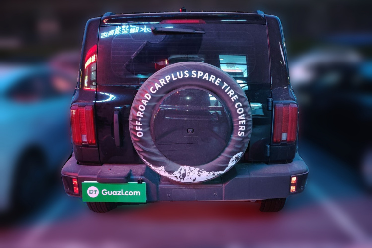 坦克300 2024款 2.0T 征服者车身外观6