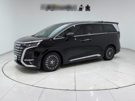 腾势D9 2024款 DM-i 1050 尊享型