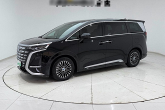 腾势D9 2024款 DM-i 1050 尊享型