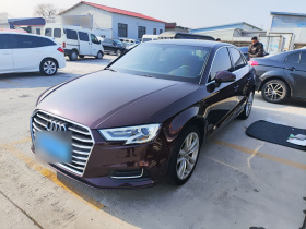 奥迪A3 2019款 Limousine 35 TFSI 进取型 国V