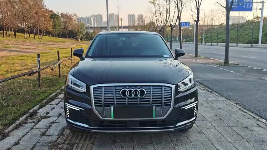 奥迪Q2L e-tron 2019款 Q2L e-tron 纯电智享型实拍1