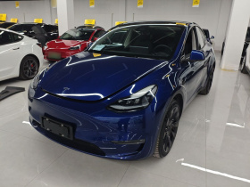 特斯拉 Model Y 2021款 长续航全轮驱动版