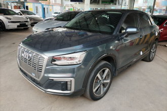 奥迪Q2L e-tron 2019款 Q2L e-tron 纯电智享型