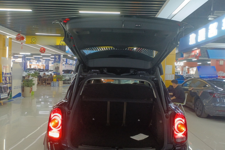 MINI Countryman 2018款 2.0T COOPER S ALL4 艺术家局部细节23