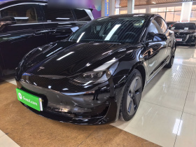 特斯拉 Model 3 2021款 标准续航后驱升级版