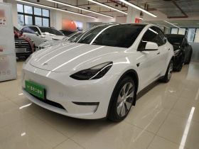 特斯拉 Model Y 2021款 长续航全轮驱动版