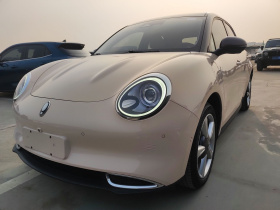 欧拉好猫 2021款 400km标准续航 雅典娜版 三元锂