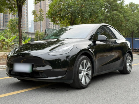 特斯拉 Model Y 2023款 长续航全轮驱动版
