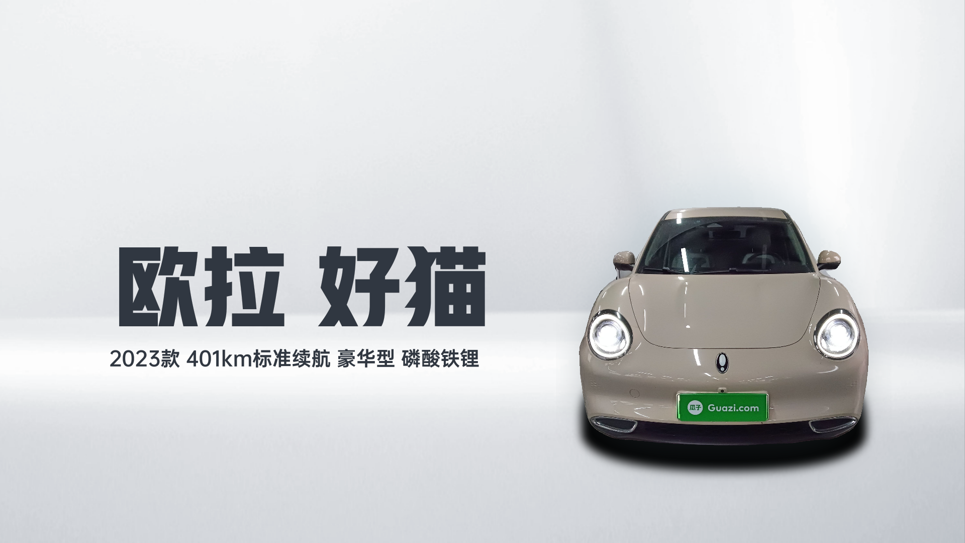 欧拉好猫 2023款 401km标准续航 豪华型 磷酸铁锂解读2