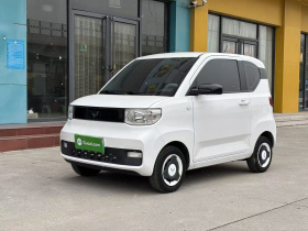 五菱汽车 宏光MINIEV 2022款 自在款 磷酸铁锂