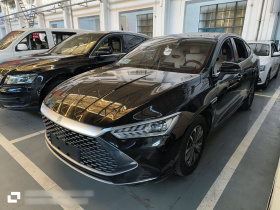 比亚迪 秦PLUS 2023款 冠军版 DM-i 55KM领先型