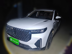 奔腾T99 2022款 20TD 自动运动尊享型