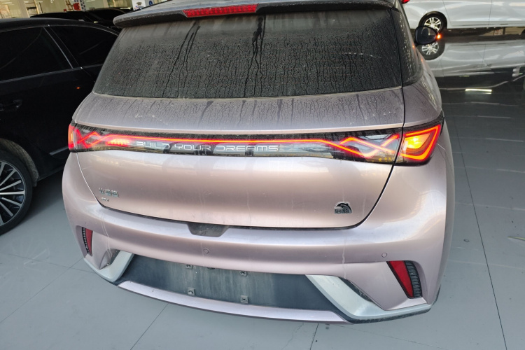 比亚迪 海豚 2021款 405km 时尚版车身外观6