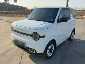 吉利银河 熊猫 2025款 210km 元气熊