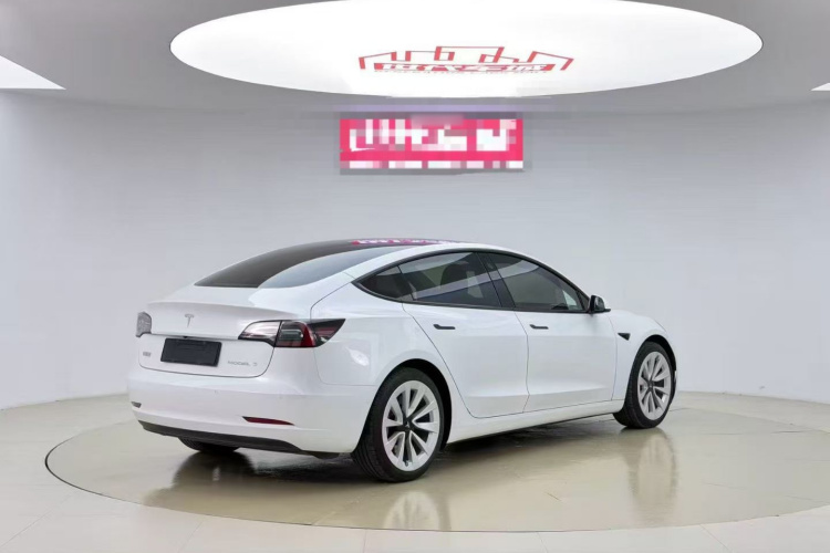 特斯拉 Model 3 2021款 标准续航后驱升级版车身外观6006