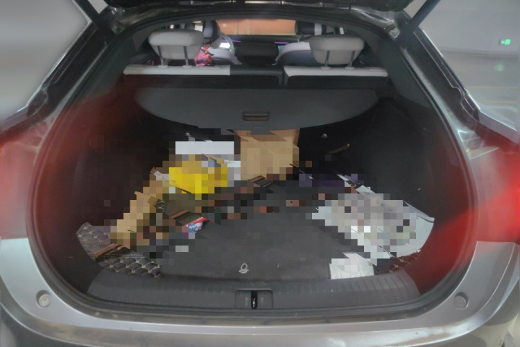 ARCFOX极狐 极狐 阿尔法S(ARCFOX αS) 2021款 708S+ 160kW局部细节23