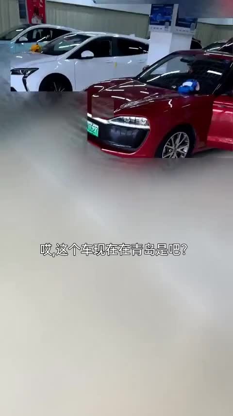 零跑汽车 零跑S01 2020款 460 Pro讲解2