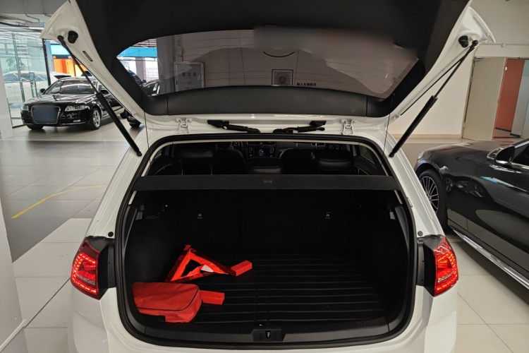 大众 高尔夫 2017款 230TSI 自动舒适百万辆纪念版局部细节23