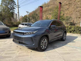 星途追风 2020款 乘风破浪版 1.5T CVT星睿版