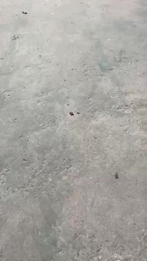 吉利汽车 帝豪 2023款 第4代冠军版 1.5L CVT尊贵型讲解2