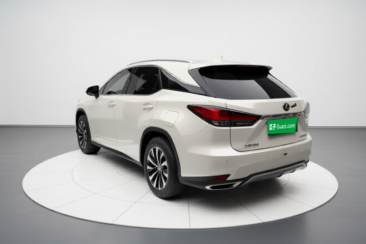 雷克萨斯RX 2020款 300 两驱精英版 国VI车身外观5