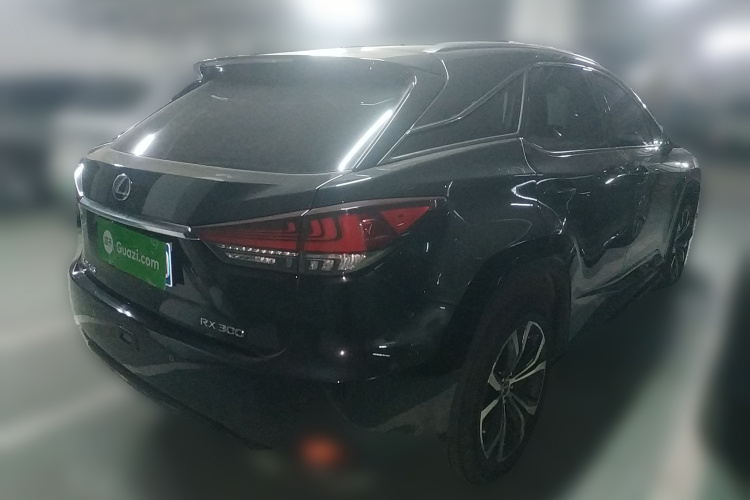 雷克萨斯RX 2021款 300 四驱特别版车身外观7