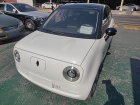 欧拉黑猫 2021款 301km 萌宠版