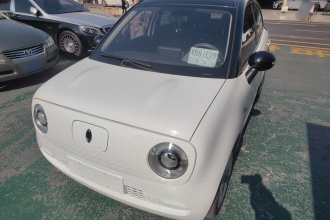 欧拉黑猫 2021款 301km 萌宠版