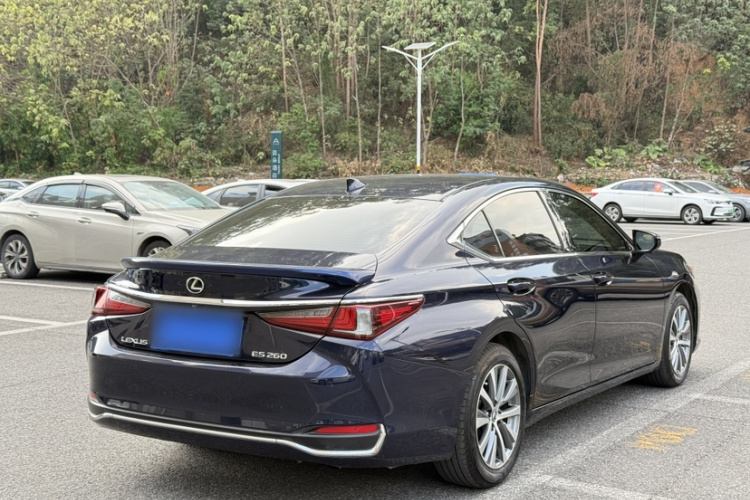 雷克萨斯ES 2020款 200 卓越版车身外观6009