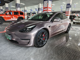 特斯拉 Model 3 2022款 Performance高性能全轮驱动版