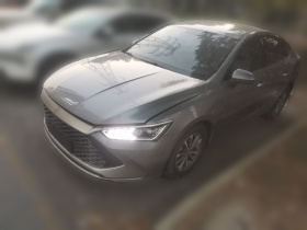 比亚迪 秦PLUS 2023款 冠军版 DM-i 55KM超越型