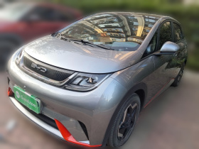 比亚迪 海豚 2021款 405km 时尚版