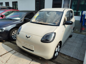 五菱汽车 宏光MINIEV 2025款 四门版 进阶款